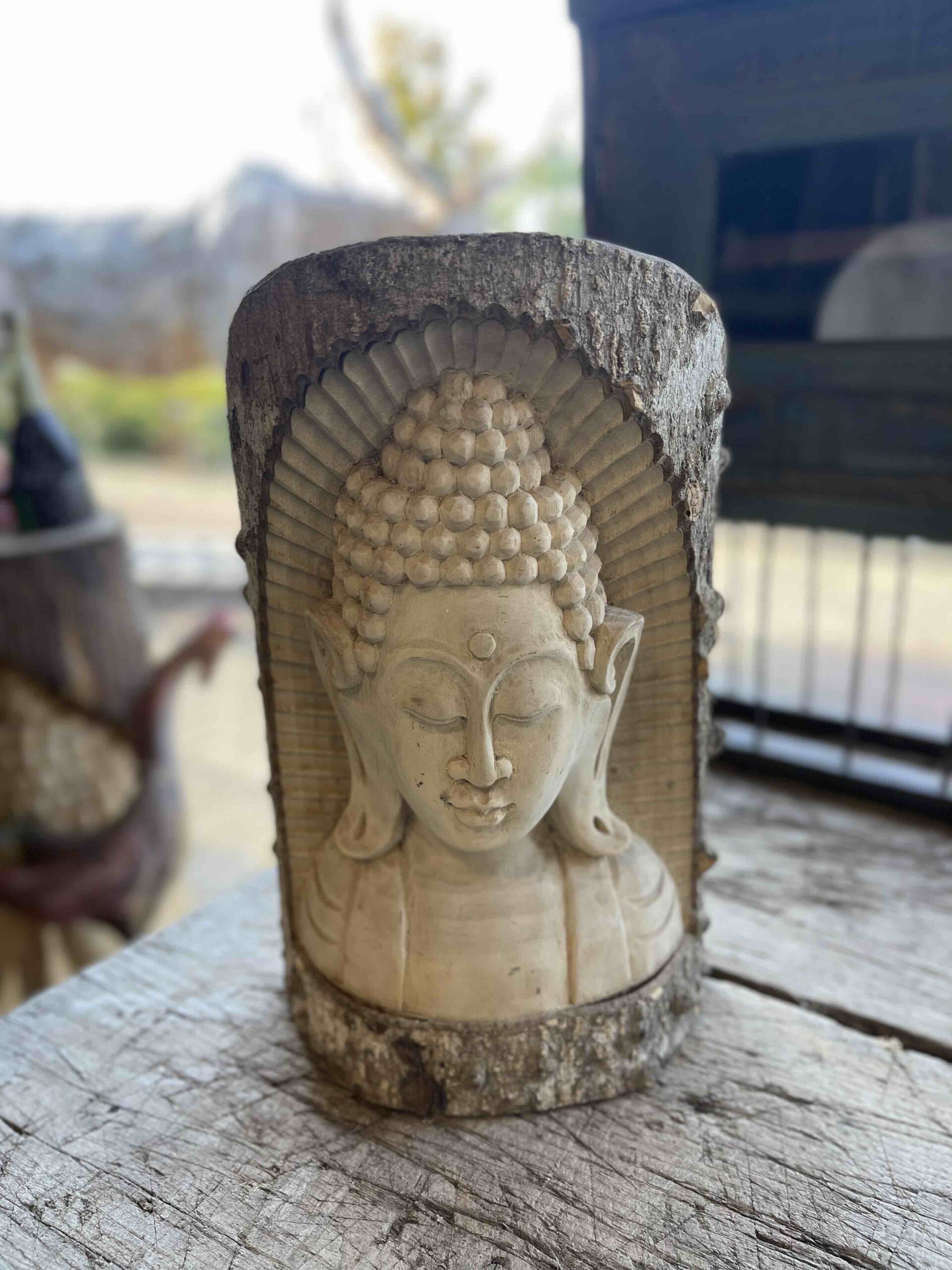 Boeddha in stam