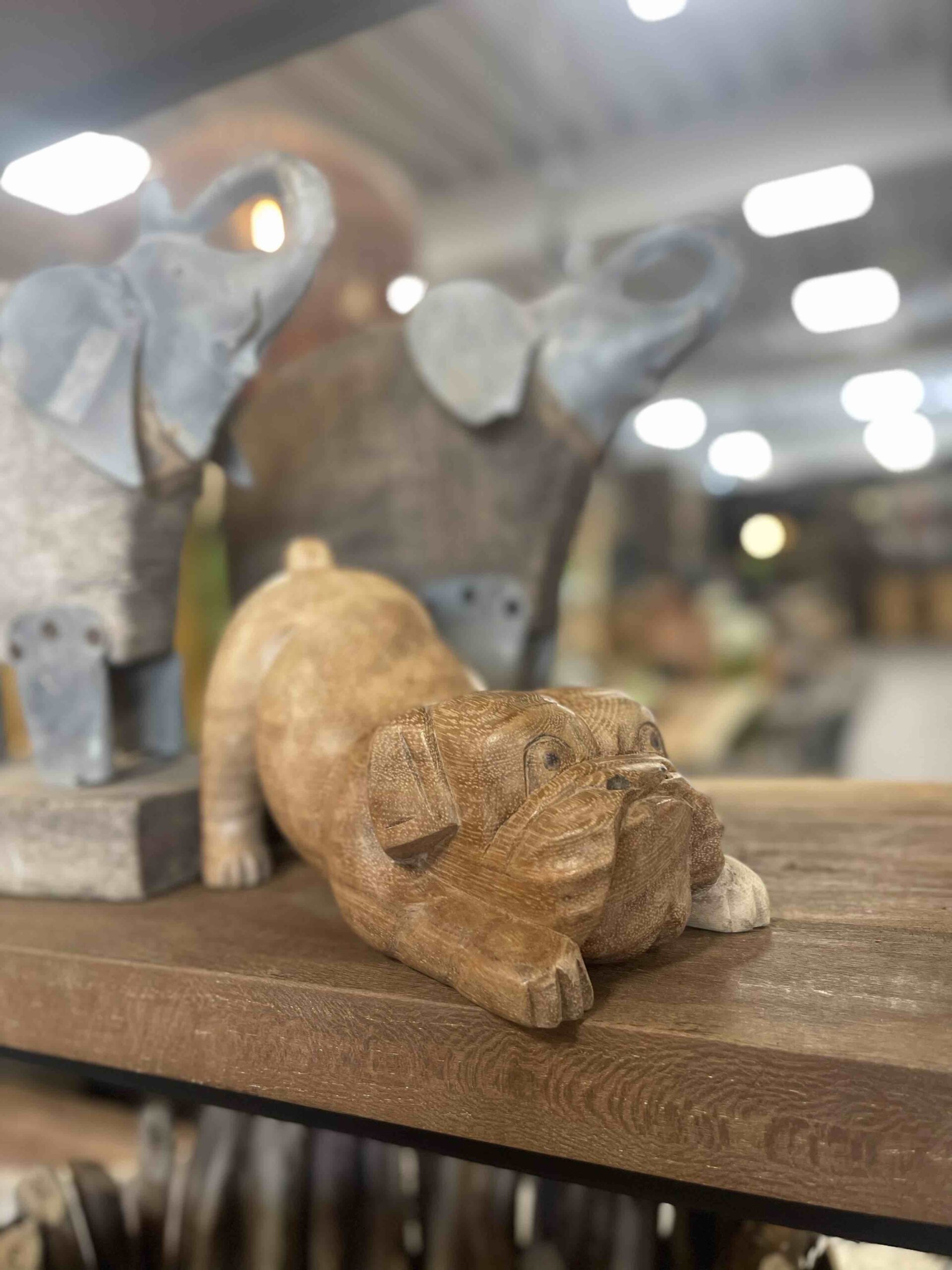 Houtsnijwerk bulldog is met de handgesneden uit een stuk suar hout.