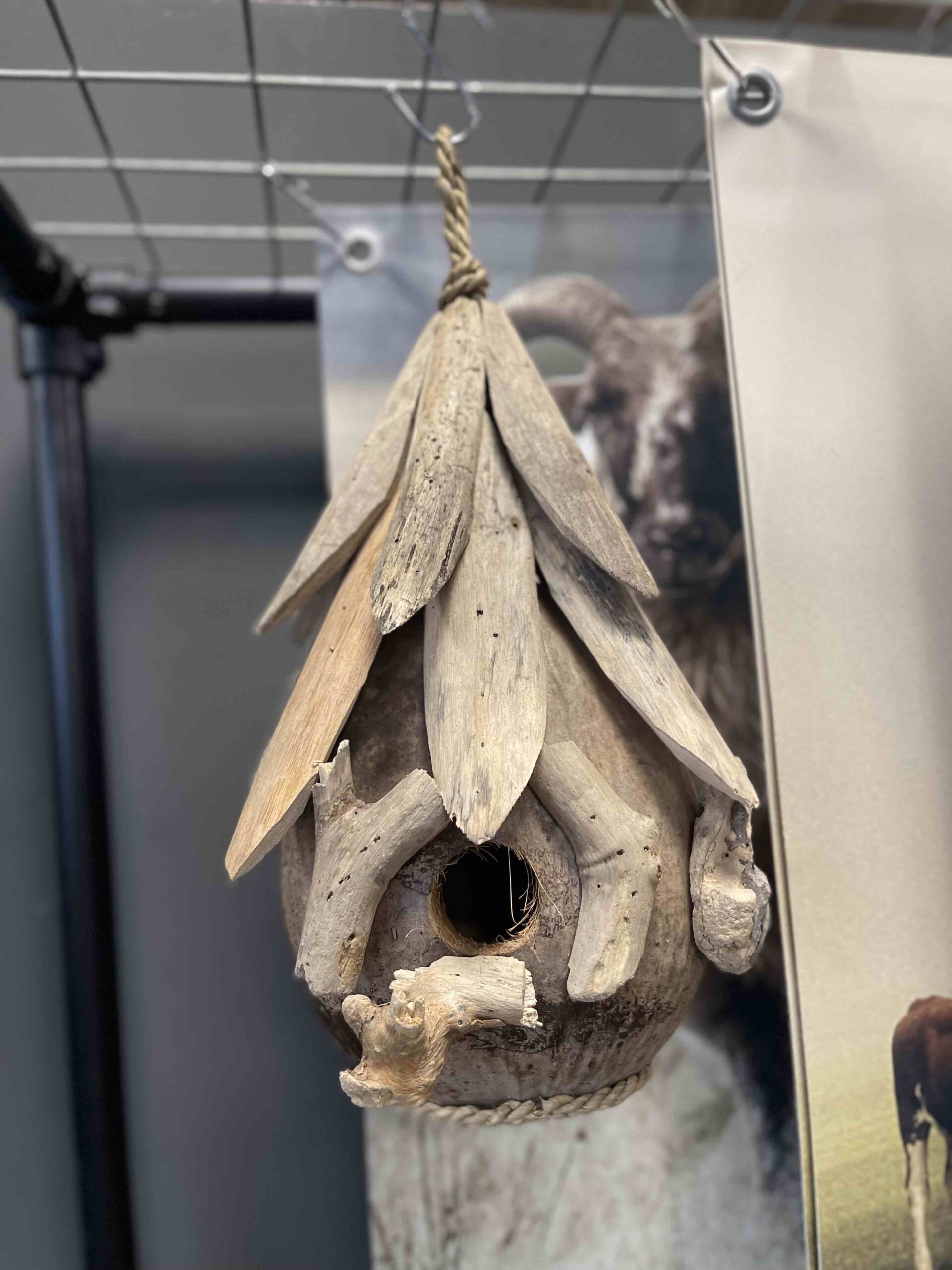 Vogelhuisje in een peer vorm gemaakt van drijfhout.