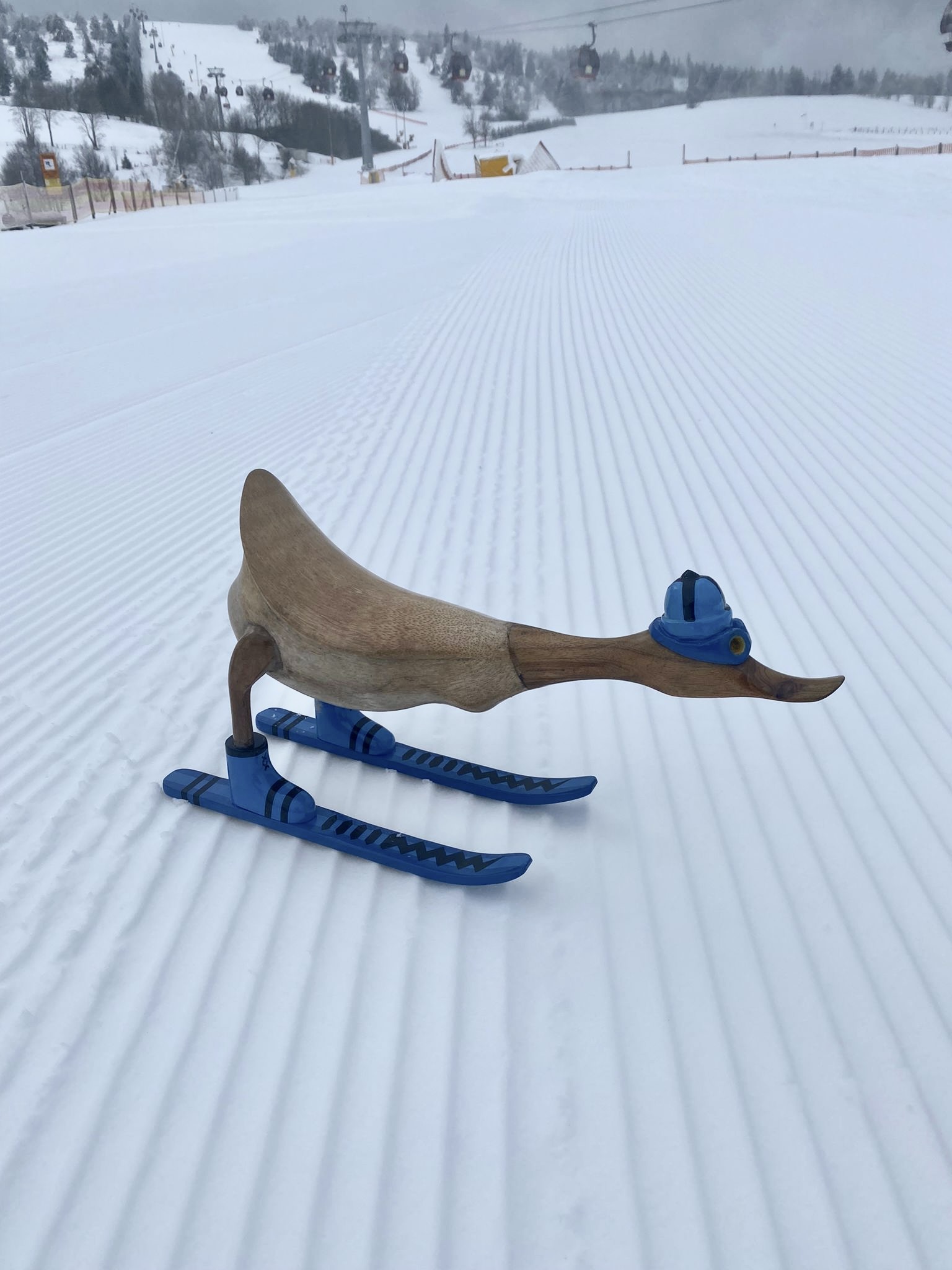 Skiënde eend van hout op de piste.