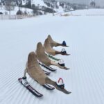 Skiënde eenden van hout op de piste