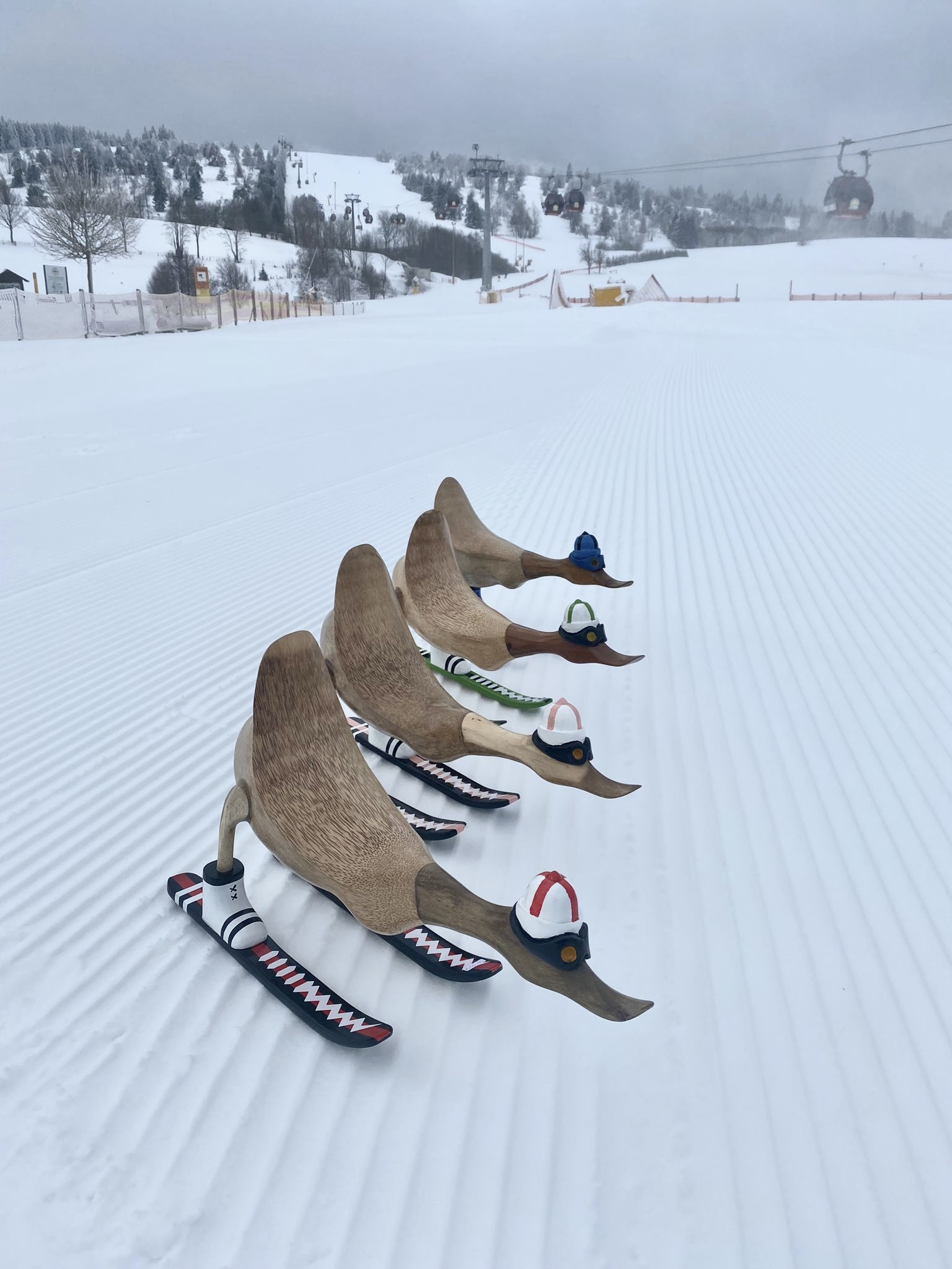 Skiënde eenden van hout op de piste