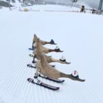 Skiënde eenden van hout op de piste