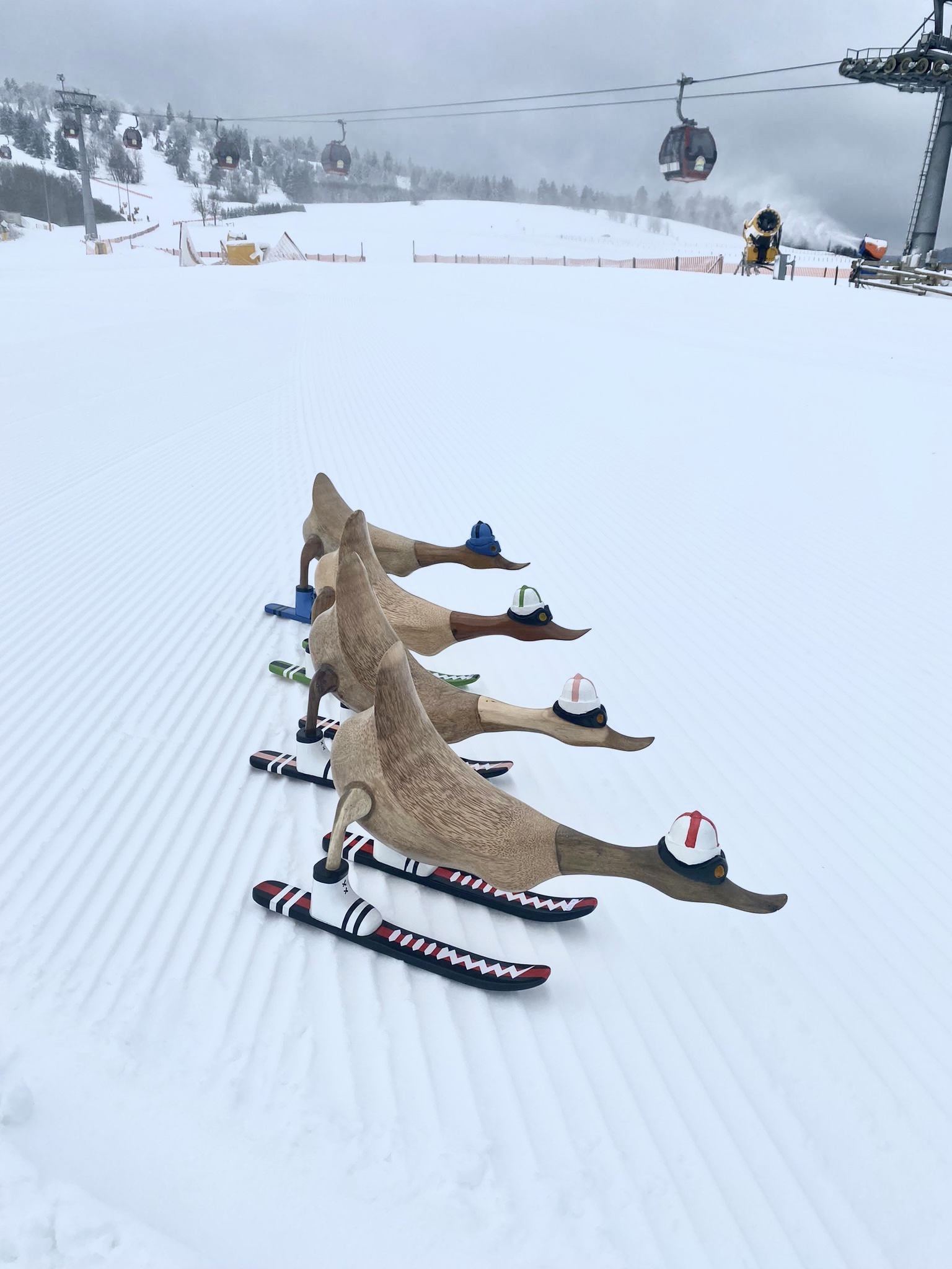 Skiënde eenden van hout op de piste