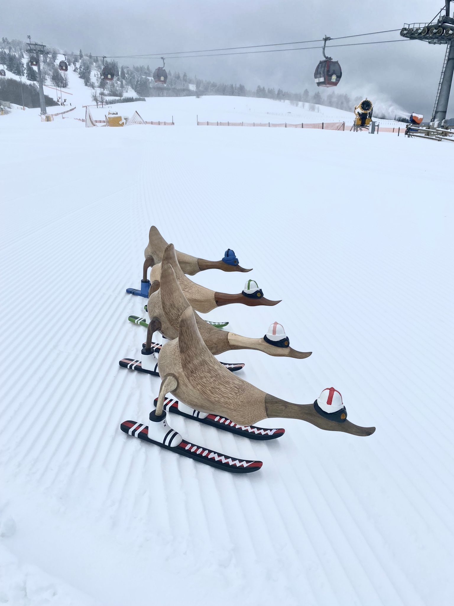 Skiënde eenden