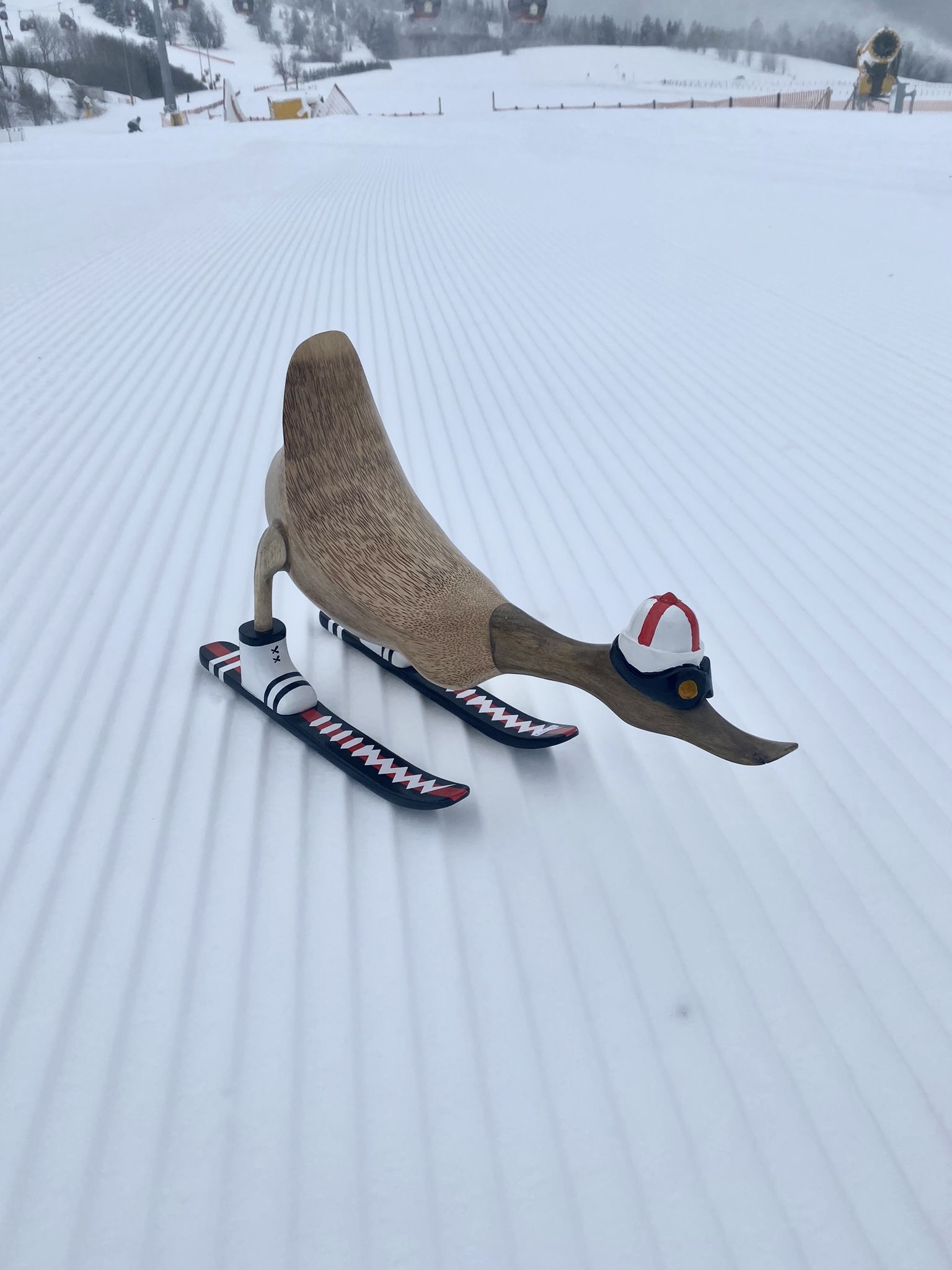 Skiënde eend van hout op de piste