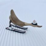 Skiënde eend van hout op de piste