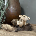 Handgemaakte paddenstoelen van lichte houtsoort, geplaatst op een donkere stronk, uniek decoratie stuk voor in huis!