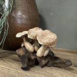 Handgemaakte paddenstoelen van lichte houtsoort, geplaatst op een donkere stronk, uniek decoratie stuk voor in huis!