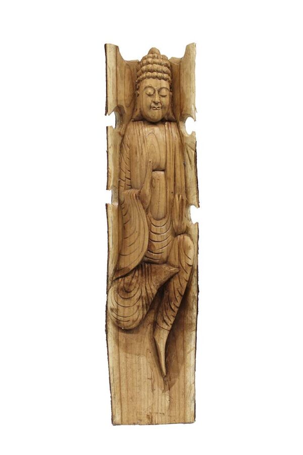 Boeddha in stam XL