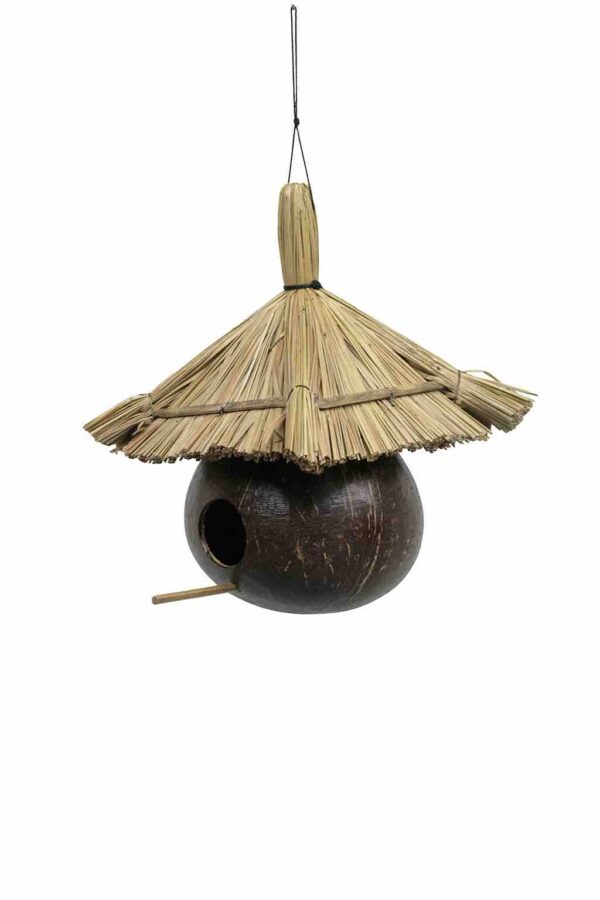 Vogelhuis kokos