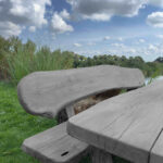 Eiken tuinset Athilla met 2 banken in grijze olie