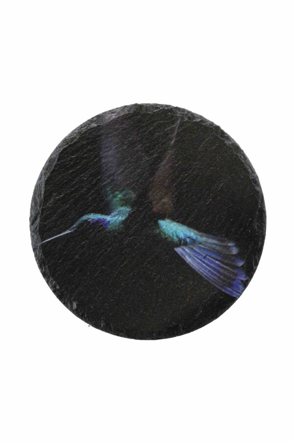 Leistenen onderzetter kolibrie
