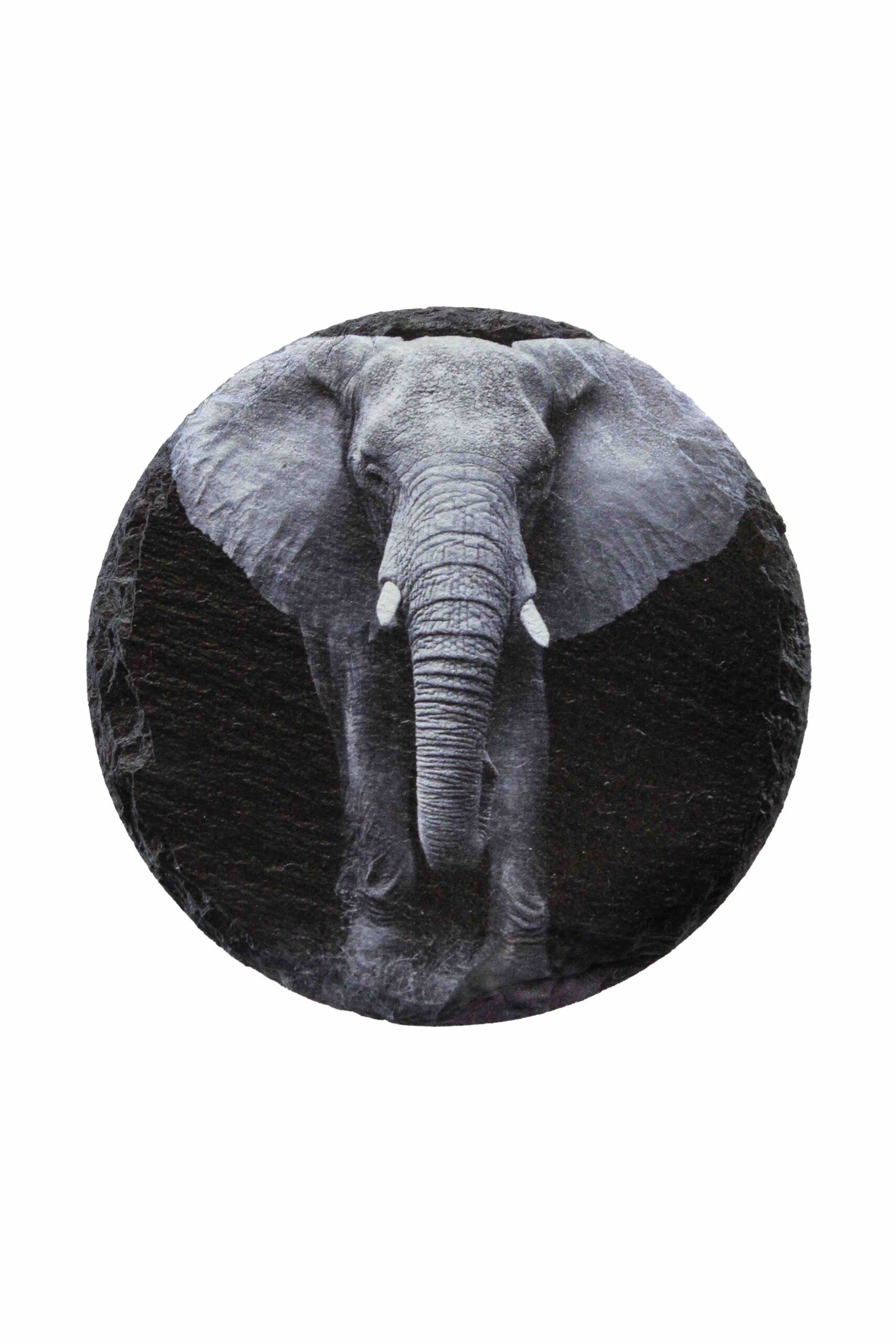Leistenen onderzetter olifant zwartwit