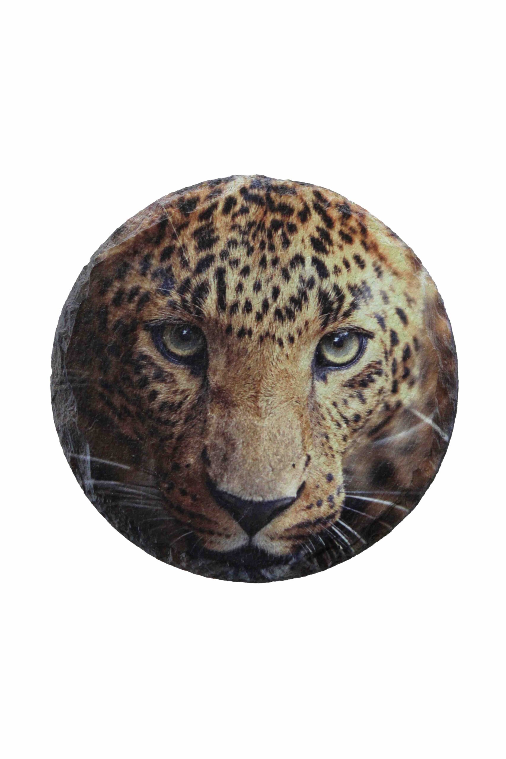 Leistenen onderzetter panter