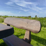 Eiken tuinset Athilla met 2 banken in bruine olie