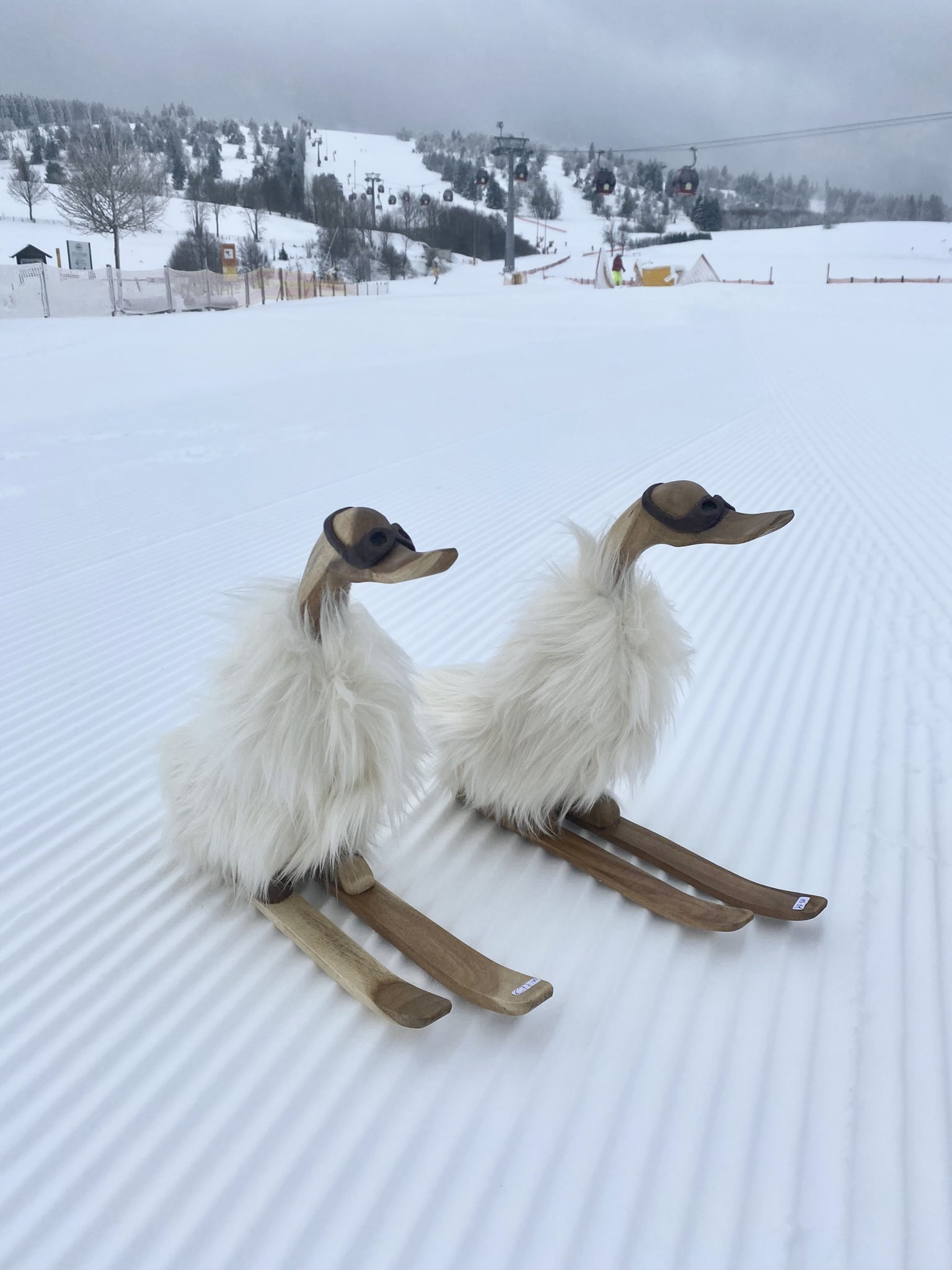 Skiënde eenden gemaakt van hout met een zachte witte vacht.