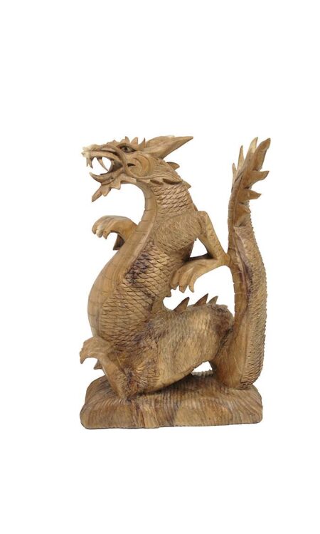 Speelse houten draak