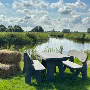 Eiken tuinset Athilla met 2 banken in grijze olie