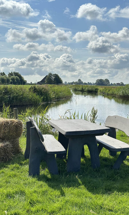 Eiken tuinset Athilla met 2 banken in grijze olie