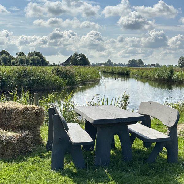 Eiken tuinset Athilla met 2 banken in grijze olie