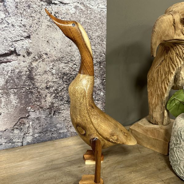 Houten eend is met de handgemaakt en beschilderd in een groen pakje