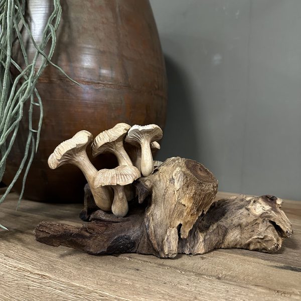 Handgemaakte paddenstoelen van lichte houtsoort