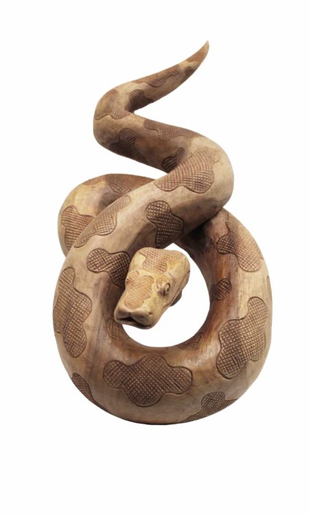 Houtsnijwerk python is met de handgesneden uit een stuk suar hout.