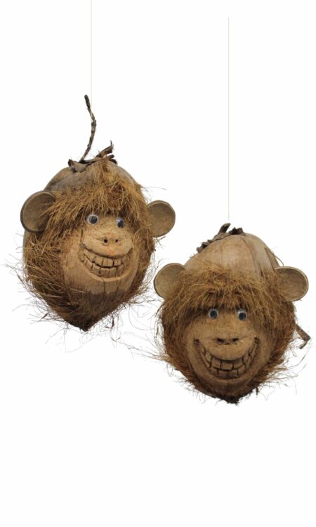 Handgemaakte vrolijke aap gemaakt van echte kokosnoot.