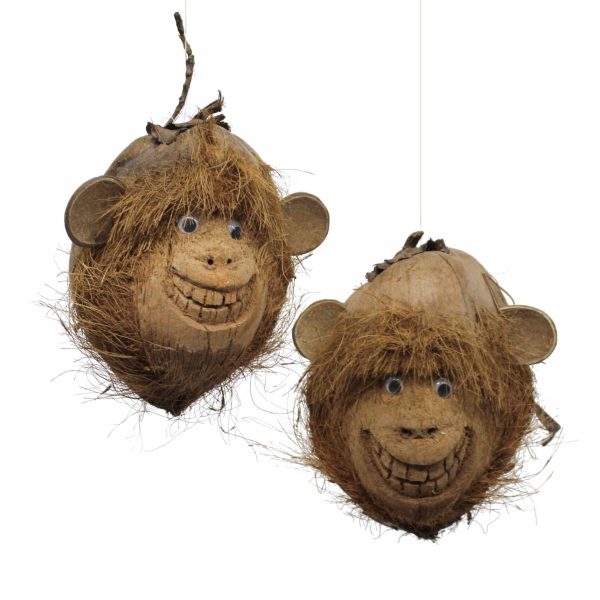 Handgemaakte vrolijke aap gemaakt van echte kokosnoot.