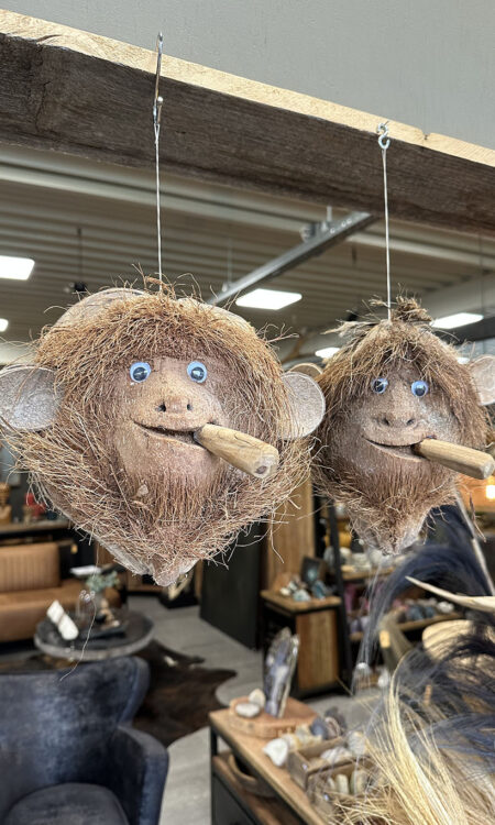 Handgemaakte vrolijke aap gemaakt van een echte kokosnoot.