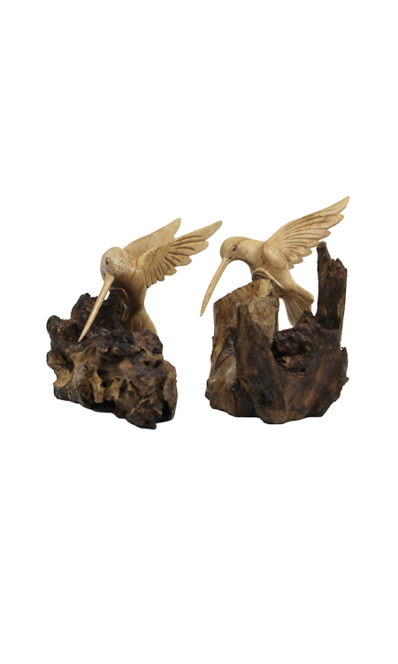 Kolibrie op stronk met de handgemaakt