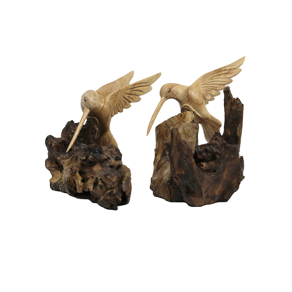 Kolibrie op stronk met de handgemaakt