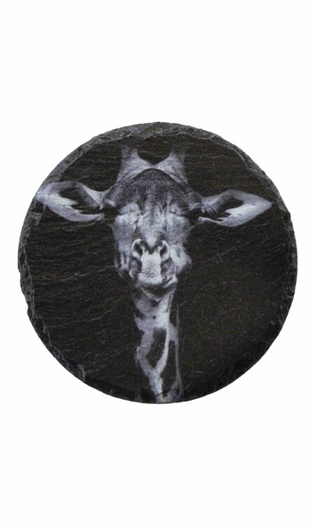 Leistenen onderzetters met giraffe