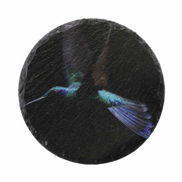 Leistenen onderzetter van een kolibrie