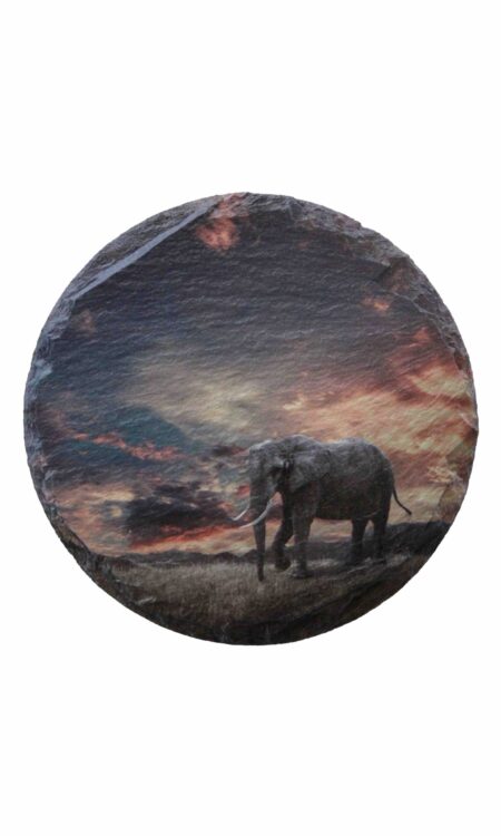 Leistenen onderzetter met olifant