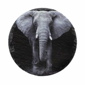 Leistenen onderzetter met olifant in zwartwit