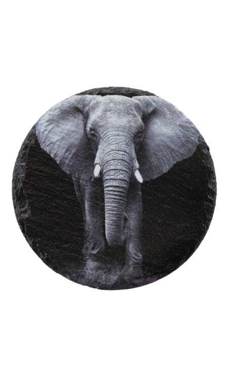 Leistenen onderzetter met olifant in zwartwit