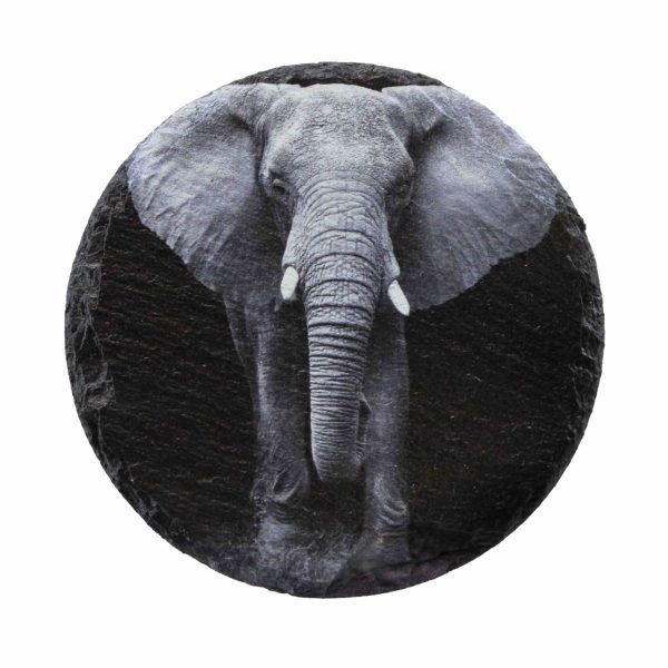 Leistenen onderzetter met olifant in zwartwit