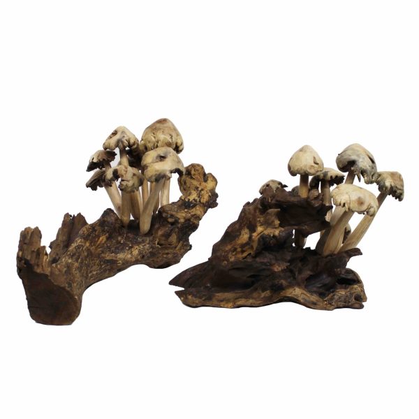 Handgemaakte paddenstoelen van lichte houtsoort