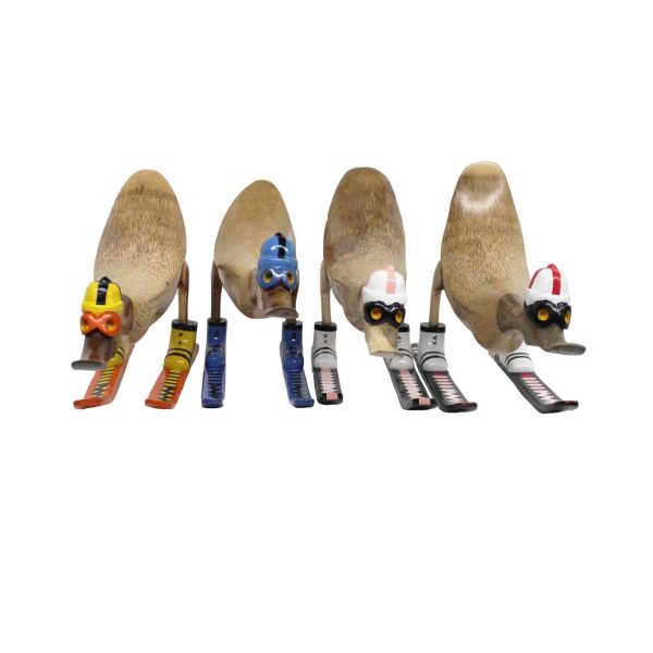 Schattige skiënde eenden