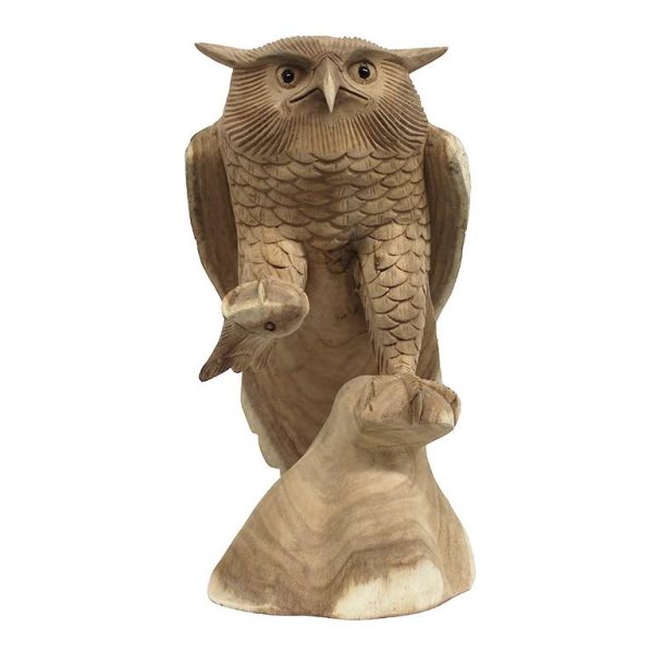 Handgesneden Suar houten uil op stronk