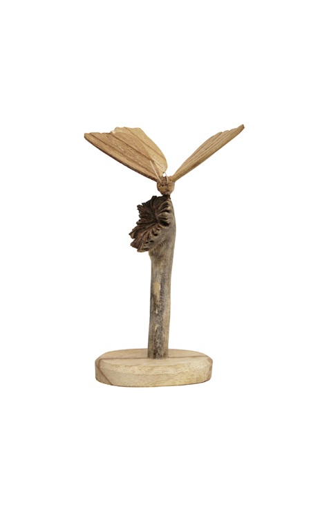 Prachtige vlinder op stam