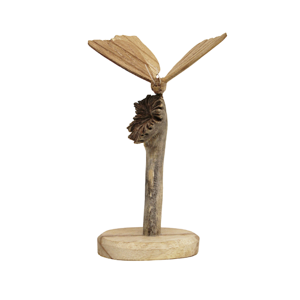 Prachtige vlinder op stam