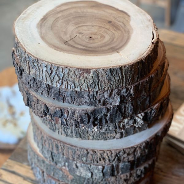 Boomstam onderzetters