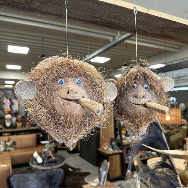 Kokos aap met sigaar