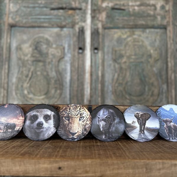 Leistenen onderzetters dieren gekleurd