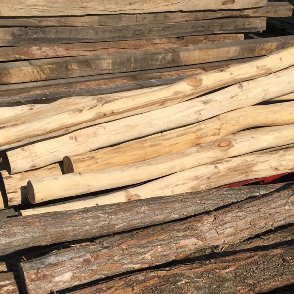 Oud en nieuw rondhout