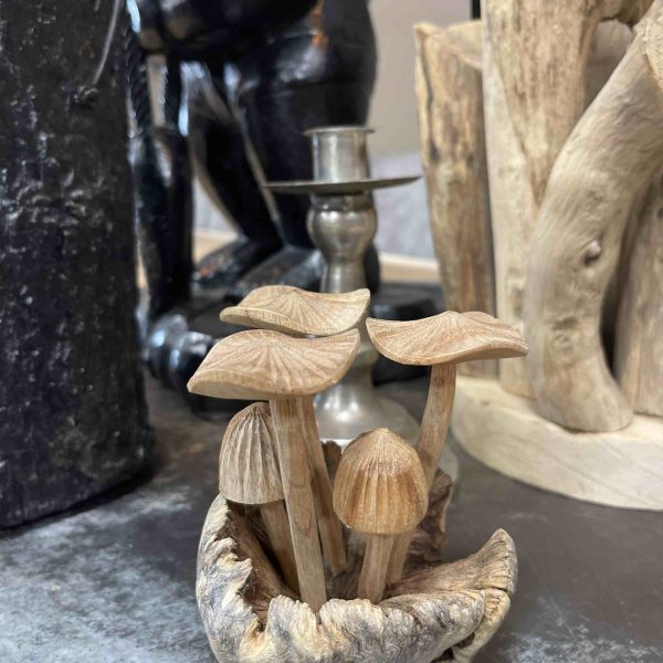 Paddenstoelen op stronk