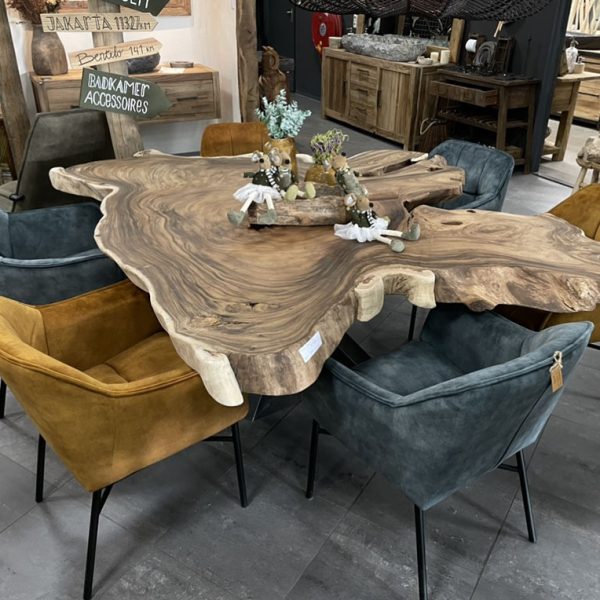 Boomstamtafel suar schijf XL